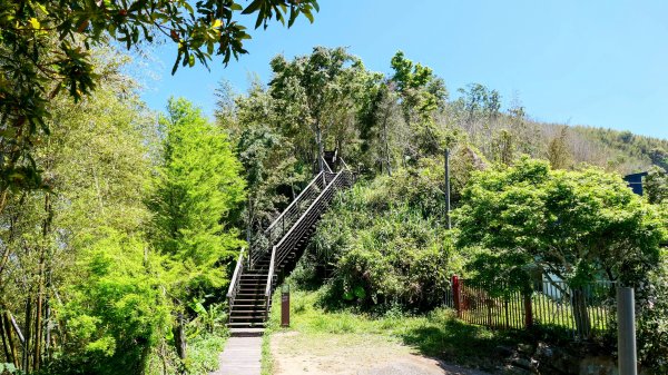 二延平步道。貿易戰2764960