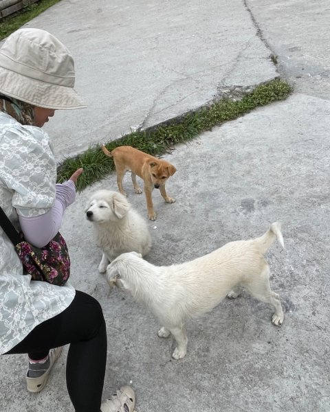 川藏深度之旅33天/A行程2902818
