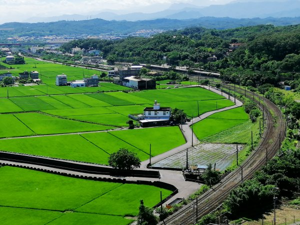 迷人的C型鐵道還有綠油油的稻田~鄭漢步道990702