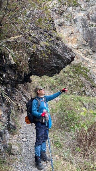 對關追龍貓🚌1970015