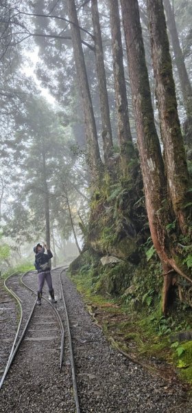 太平山翠峰湖見晴懷古步道2629002