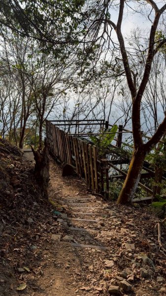 竹仔尖山步道3002511