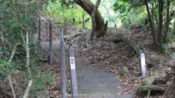 《南投》峰峰相連｜草屯九九峰森林步道O型202509062879278