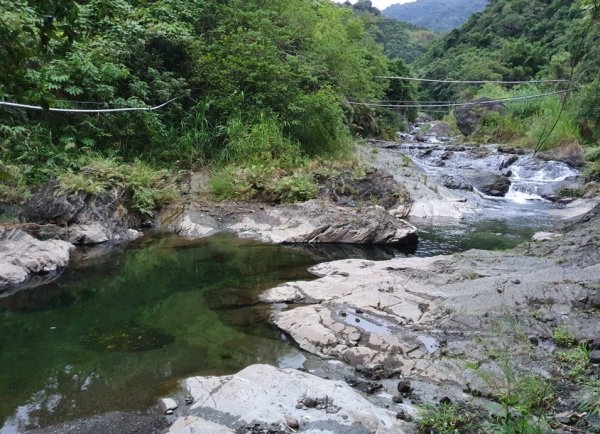 【花蓮富里】 海岸三雄-新港山我來了~1146196