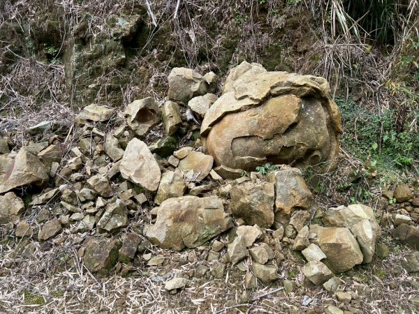 嵐山再古坑。五元兩角 木馬古道2806231