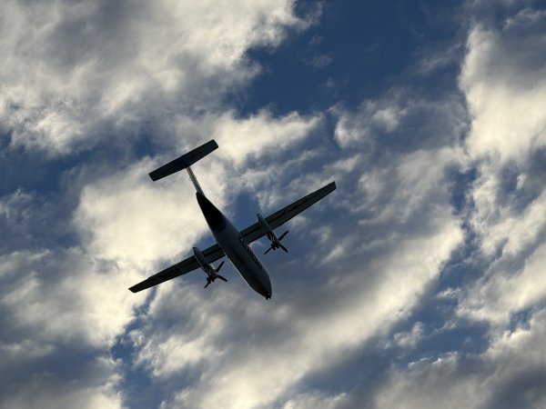 [紐約馬之行-21] 2025_1104 托寧湖(Tjörnin)2946356