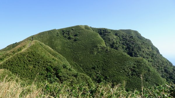 灣坑頭山，大里上大溪下1993816