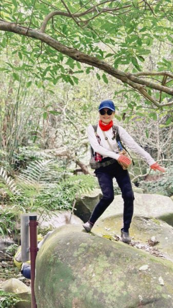 東勢大崙、東勢坑山、觀音湖山O走2986293