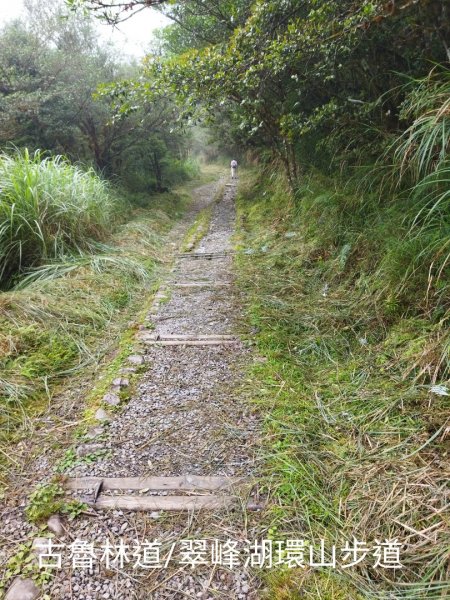 翠峰湖環山步道O行1752298