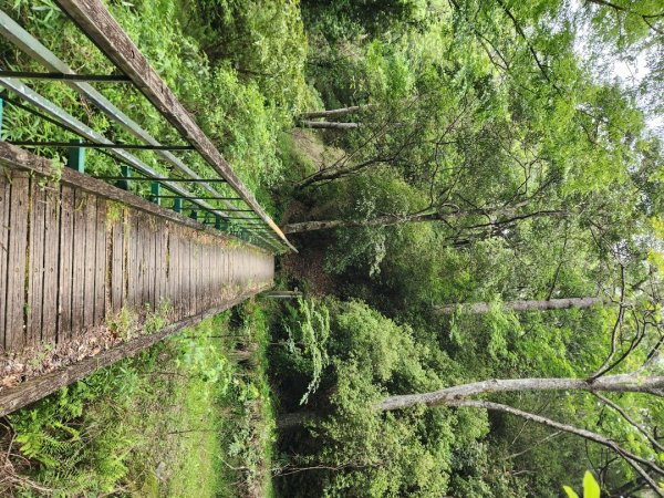 【百岳】志佳陽大山2779734