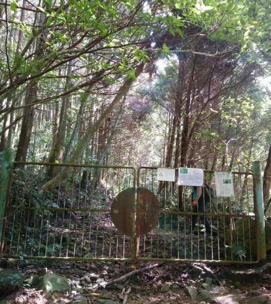 鳶嘴西稜O走（大崠山、長壽山、鳶嘴山）1073388