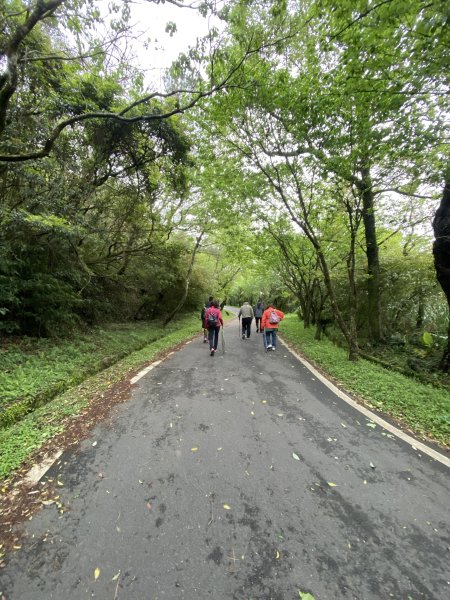 《走進竹子湖的清晨｜慢跑+美食＋泡湯享悠閒》2852694