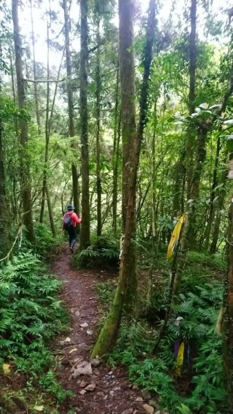 璀璨百年淡蘭古道～象寮古道、石空山、坪溪古道、梗枋古道O走1339386