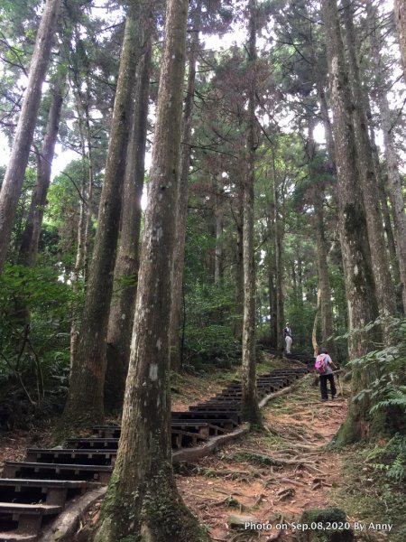 避暑勝地——東眼山之美1124412