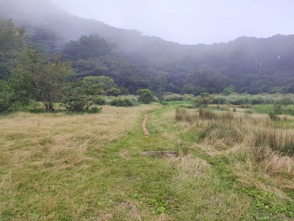 面天山、向天山步道 - 走遍陽明山尋寶任務2262937