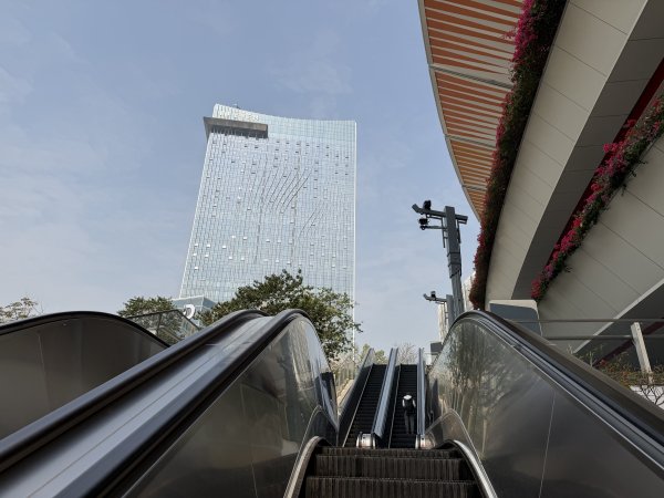 [茂名馬之行-01] 2026_0116 廣州白雲站2993878