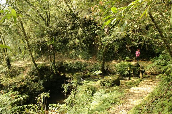 107.03.03 雙溪 北勢溪古道 279453