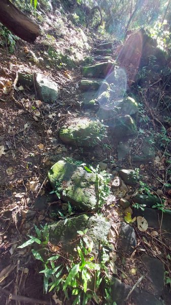 新店小粗坑赤蘆古道越嶺O型2784397