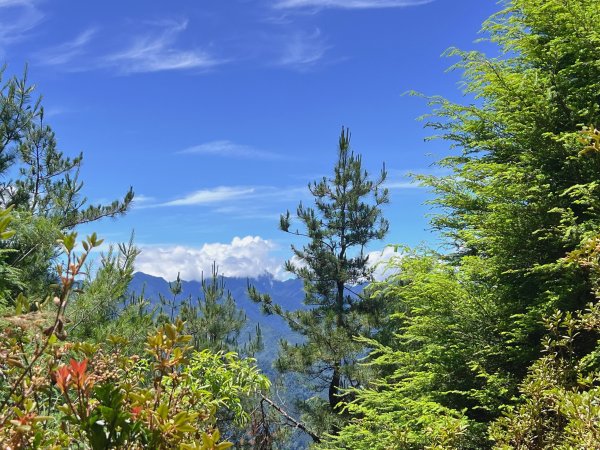 ~ 池 有 山 / 品 田 山 ~2854054