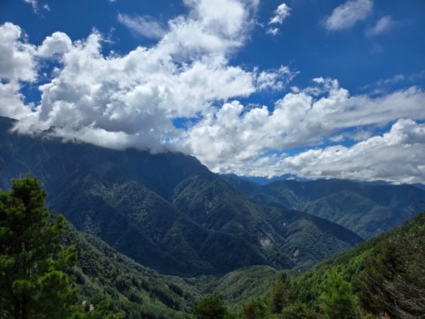 塔塔加步道（大鐵杉登山步道）2883112