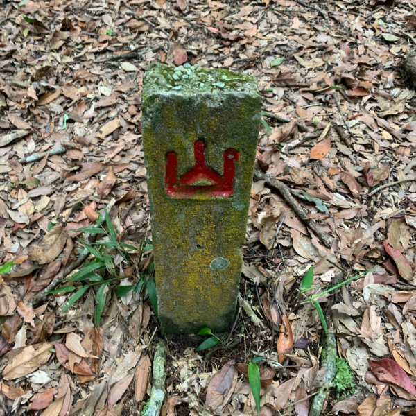 20260509南投小出山3055101