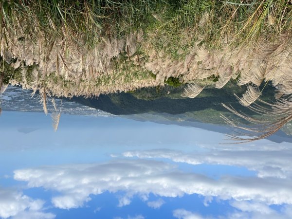 20231118_鵲子山步道（宜蘭小百岳）2763006