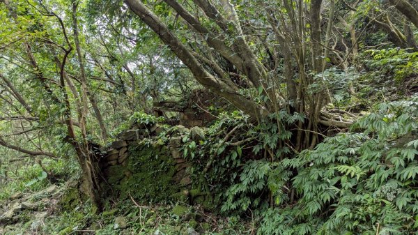 114.05.30大粗坑古道-金瓜石山-小粗坑山之旅2799438