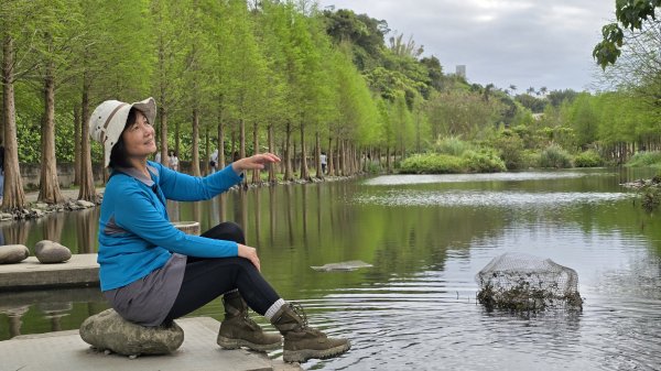 血藤秘境，步行30分鐘即可抵達，鳶山血藤大爆發，最佳賞花期只有7天，要去要快，鳶溪縱走2758589