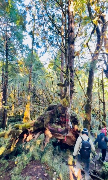 走入魔幻森林 探訪三星池與妹池2952308