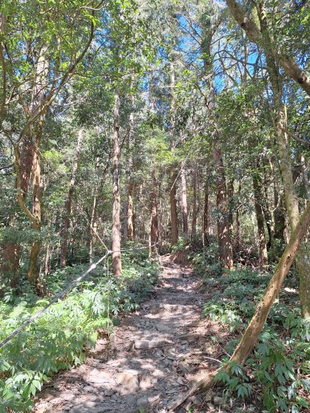 日湯真山202601042978574