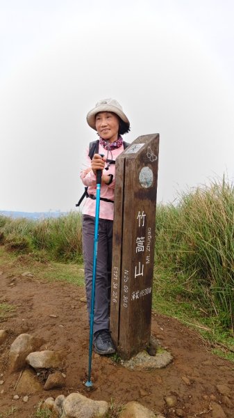 陽明山輕鬆走2991978