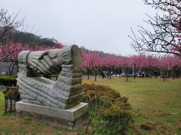 住六公園賞櫻，閻錫山故居，東方寺