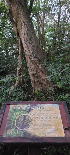 20211219 小百岳-台北大崙頭、尾山3056346