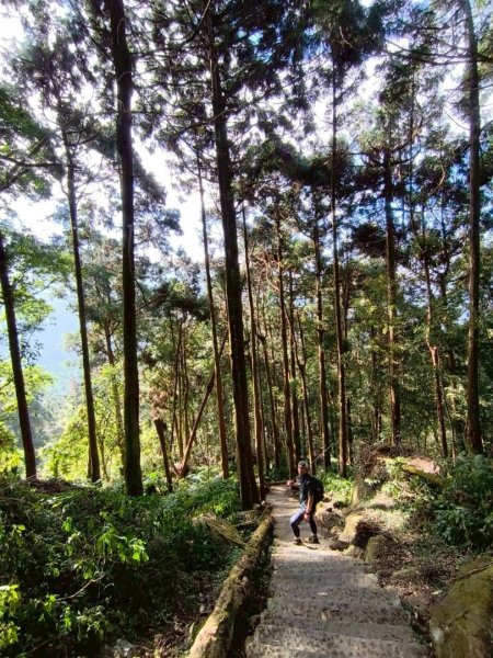 20251218溪頭鳳凰山台寅山上天文台至妖怪村買菜O繞2965590