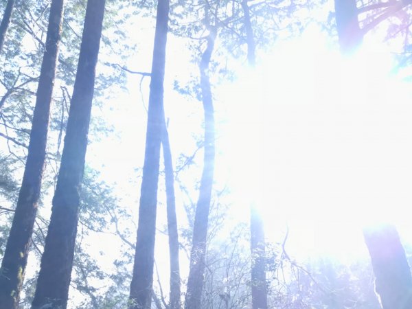 見晴古道。0.9K的抒情浪漫1494532