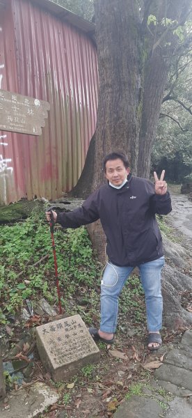 大崙頭山1299812