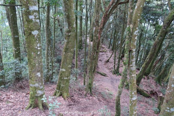 《台中》谷關七雄｜初登屋我尾山201703192890424