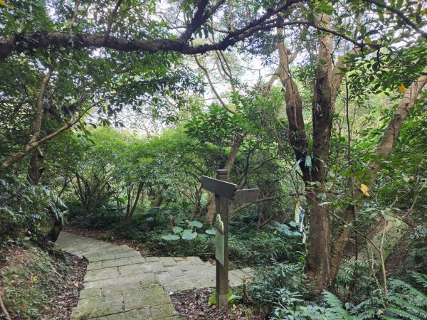 2023.12.08 土庫岳2695265