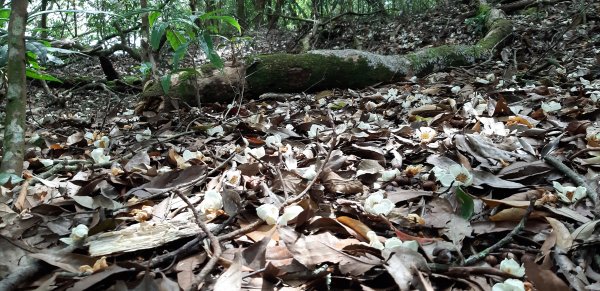 白姑大山之旅743413