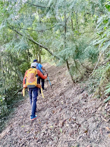再訪八通關社寮古道登陳東坑山    2025.11.252946110
