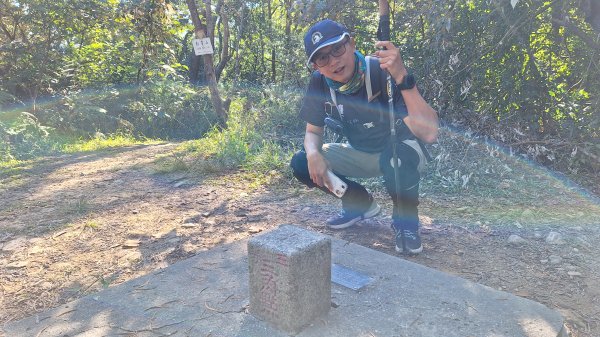 20251213白賓山走白賓名樹2963953