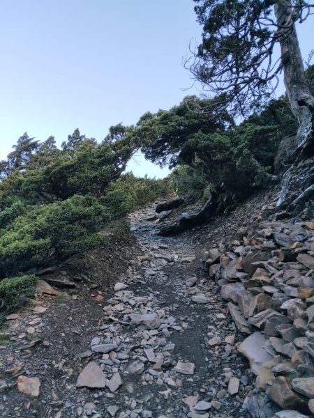 【忠の玉山單攻】~台灣地表最高的石頭~202006141742616