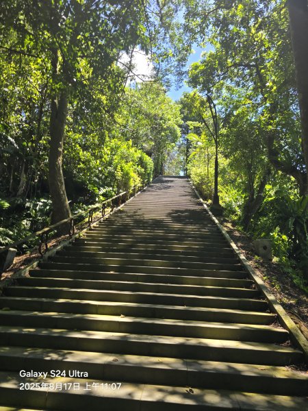 2025-08-17臺北大縱走第七段：世界山莊至飛龍步道政大後山2862369