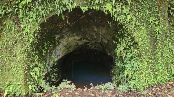 峰頭尖~峰頭尖東峰2761405
