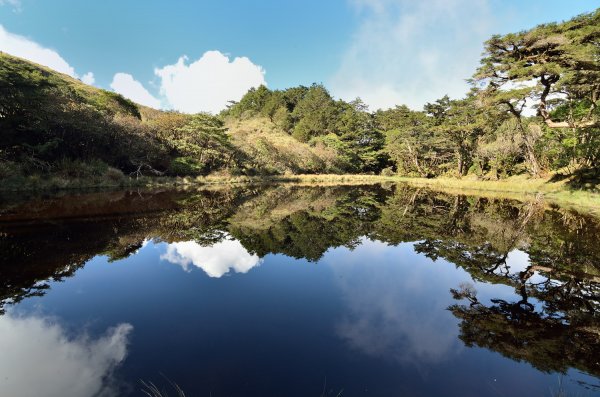 【新聞】森之巡~臺東林管處深山特遣紀實影片，揭露中央山脈森林秘境