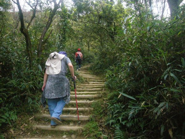 礁溪五峰旗瀑布聖母山莊步道297894