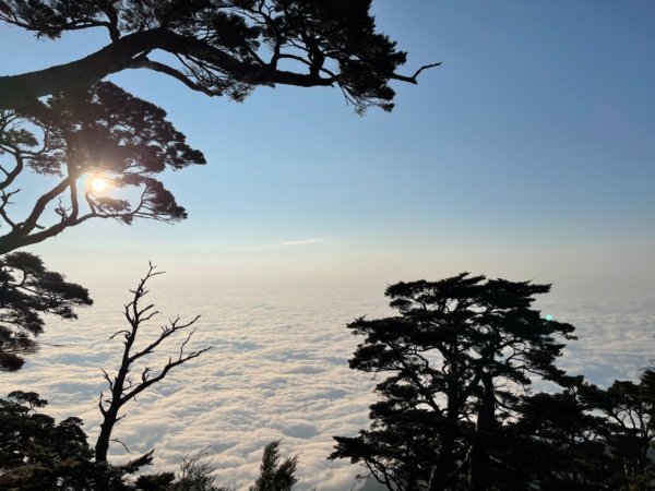 見證最美麗北大武山雲海、鐵杉1318971