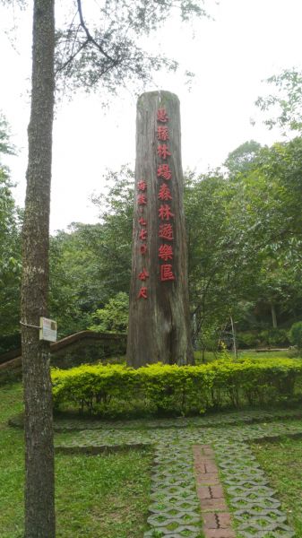 惠蓀林場青蛙石遺址步道398083