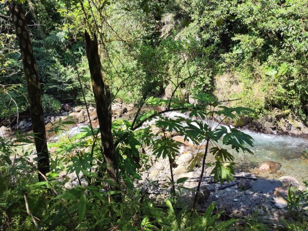 九寮溪自然步道2867193