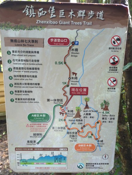 2026.01.03－鎮西堡B區神木群2981134